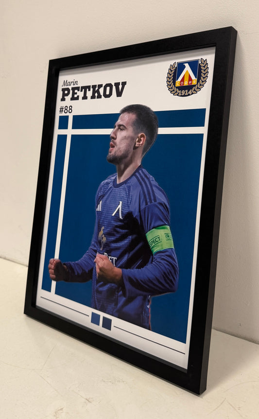 Marin Petkov II poster