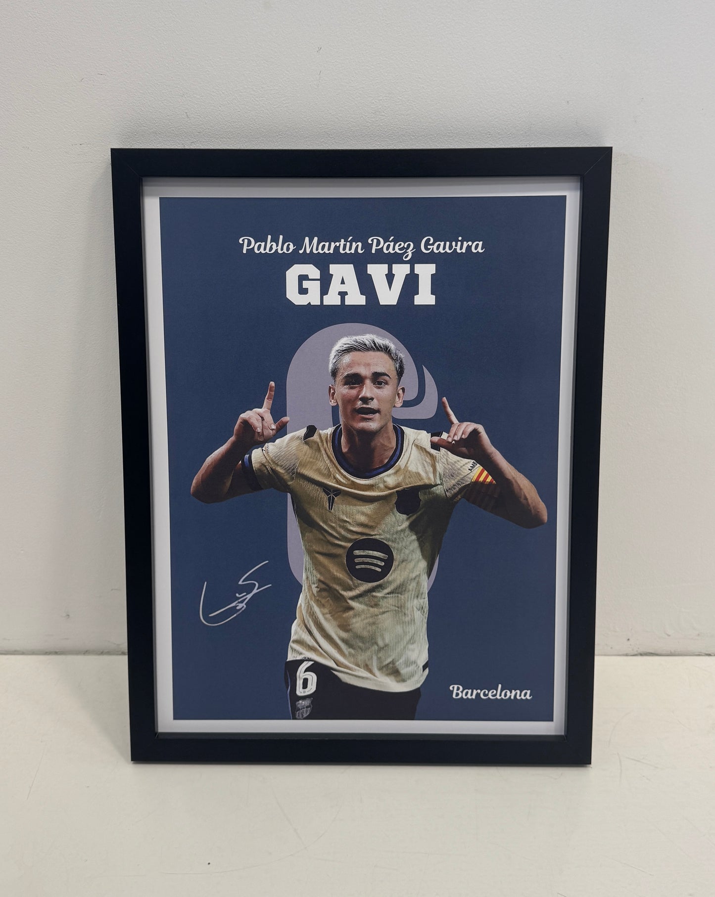 Gavi poster