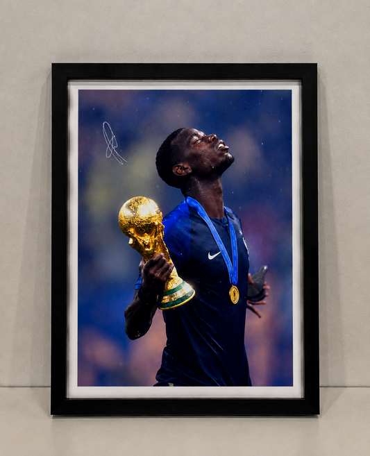 Paul Pogba/Поул Погба - Световен Шампион Франция