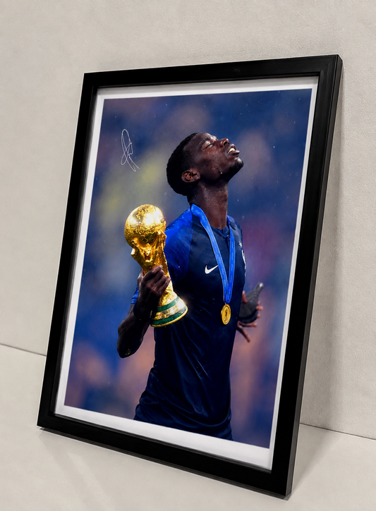 Paul Pogba/Поул Погба - Световен Шампион Франция